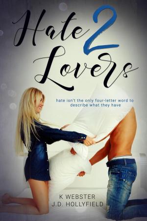 Cover of the book Hate 2 Lovers by Luca Martini