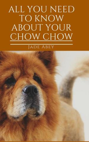 bigCover of the book All About Your Chow Chow by 
