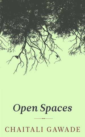 Cover of the book Open Spaces by Jean-Nicholas Vachon