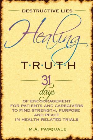 Book cover of Destructive Lies, Healing Truth