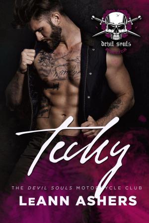 Cover of the book Techy by scott wellinger