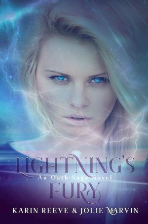 Cover of the book Lightning's Fury by Vaughan Stanger