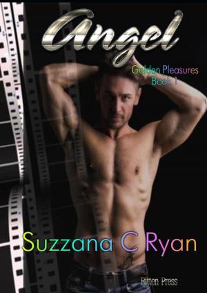 Cover of the book Angel by Suzzana C Ryan