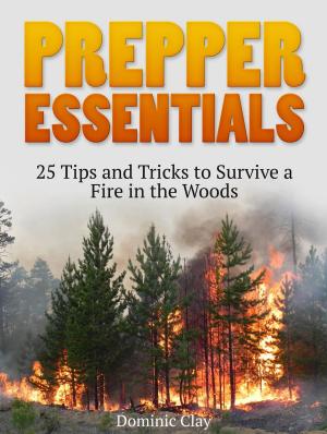 Cover of the book Prepper Essentials: 25 Tips and Tricks to Survive a Fire in the Woods by Robin Lawson
