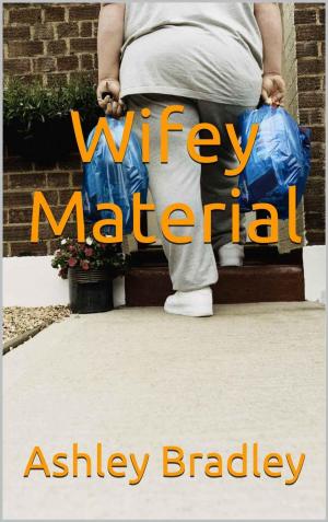 Cover of the book Wifey Material by David L. Forand