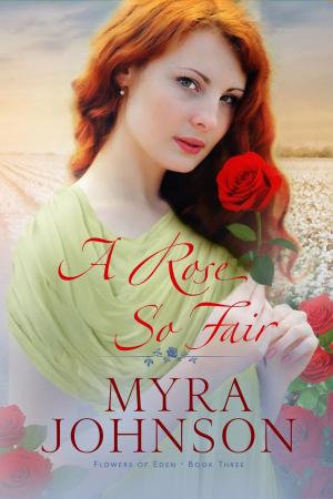 Book cover of A Rose So Fair