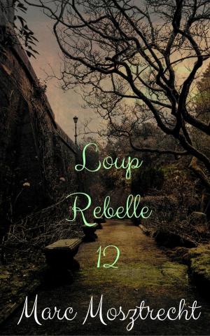 bigCover of the book Loup Rebelle 12 by 