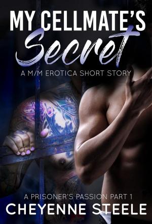 Cover of the book My Cellmate's Secret: A M/M Erotic Short Story by Raye Morgan