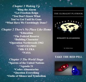 bigCover of the book The Globalist Playbook: Humanity Is Awakening by 