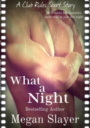 Cover of the book What a Night! by Megan Slayer, Wendi Zwaduk
