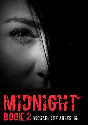 Cover of Midnight 2