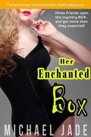 Cover of the book Her Enchanted Box by E. Khan Jertails