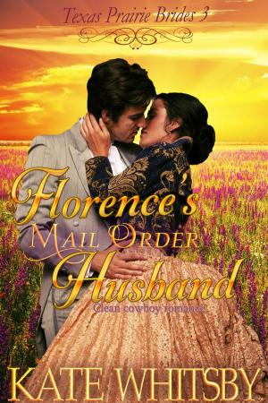 Cover of the book Florence's Mail Order Husband by Laura Vixen