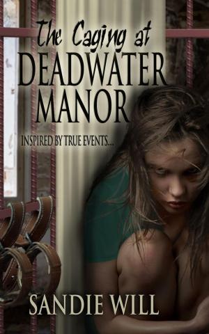 Book cover of The Caging at Deadwater Manor