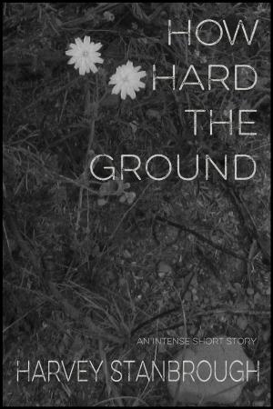 Cover of the book How Hard the Ground by Michael Julian