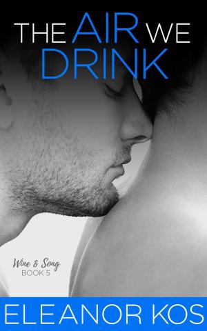 Cover of the book The Air We Drink by Nephy Hart