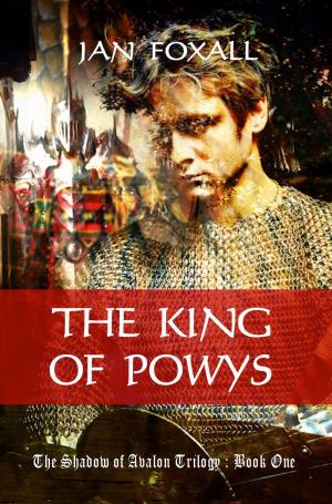 Book cover of The King of Powys