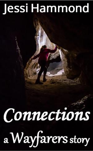 Cover of the book Connections by Jessi Hammond
