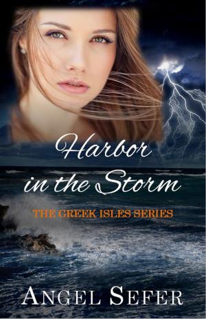 Book cover of Harbor in the Storm