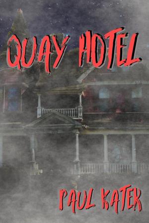 Cover of the book Quay Hotel by Paul Kater