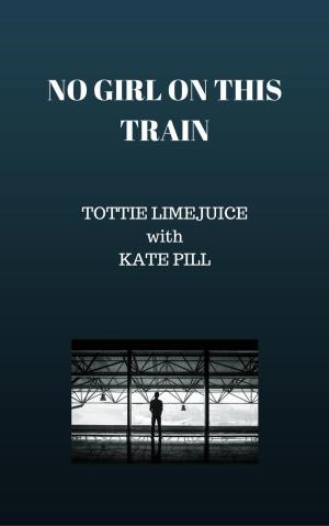 Book cover of No Girl on this Train