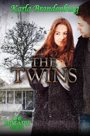 bigCover of the book The Twins by 