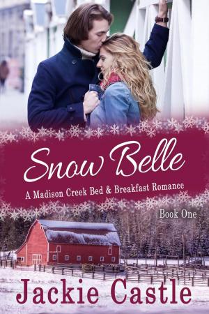 bigCover of the book Snow Belle by 