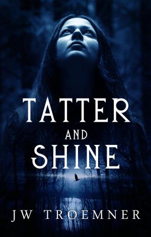 Cover of the book Tatter and Shine by P.D Blake