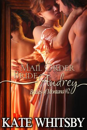 Book cover of Mail Order Bride Audrey