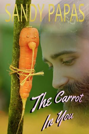 Cover of the book The Carrot In You by Leila Bryce Sin