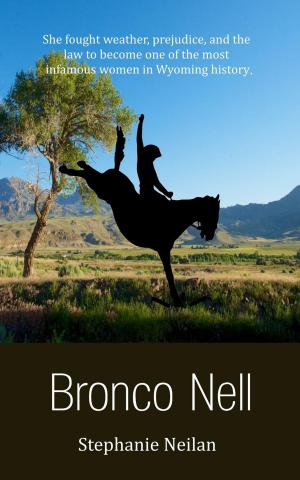 Cover of the book Bronco Nell by Mathis Bailey