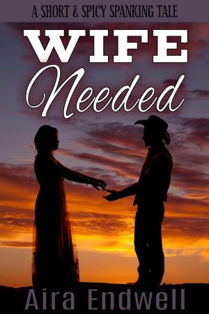Book cover of Wife Needed