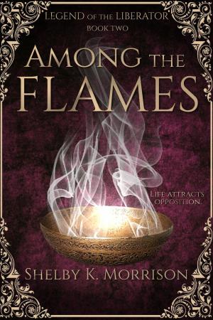 Cover of the book Among the Flames by Ian Whates