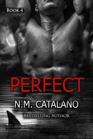 Cover of the book Perfect by Angel Dust