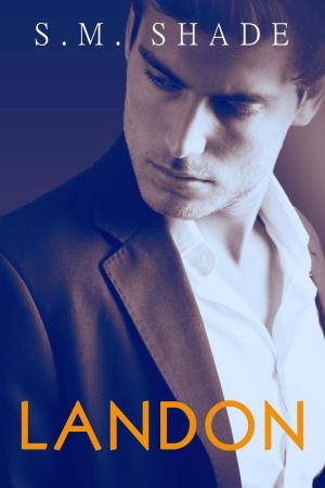 Book cover of Landon