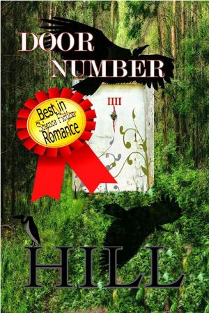 Cover of the book Door Number Four by Janna Hill
