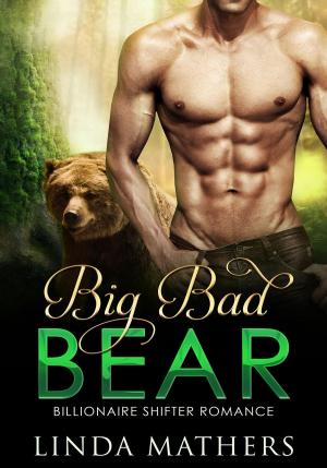 Cover of the book Big Bad Bear by T. Renee Fike