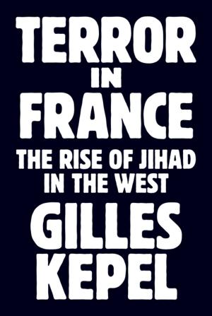 Book cover of Terror in France