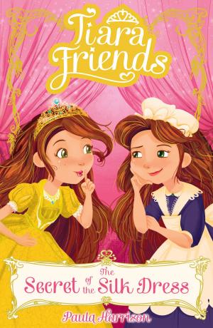 Cover of the book Tiara Friends 2: The Secret of the Silk Dress by Matt Carr