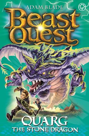 Book cover of Quarg the Stone Dragon