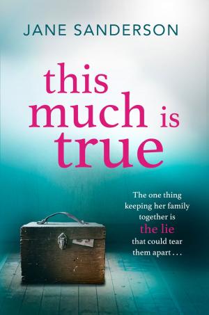 Cover of the book This Much is True by Christian Cameron