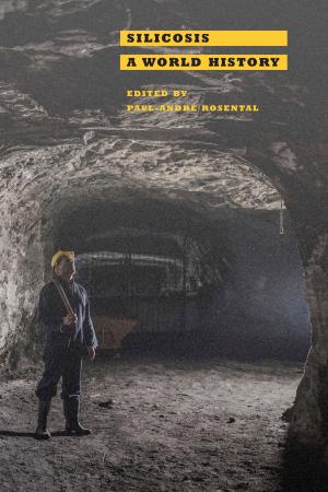 Cover of the book Silicosis by Paul J. Croce