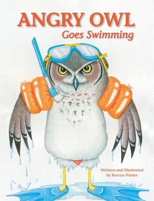 Cover of the book Angry Owl Goes Swimming by James Clarke