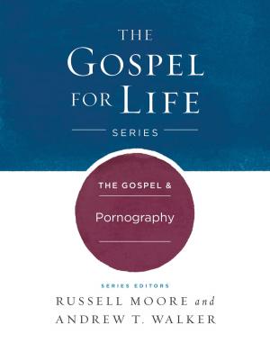 Book cover of The The Gospel & Pornography