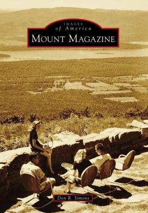 Cover of the book Mount Magazine by Gary Cozzens