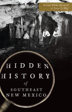 Cover of the book Hidden History of Southeast New Mexico by David Meyers, Elise Meyers Walker