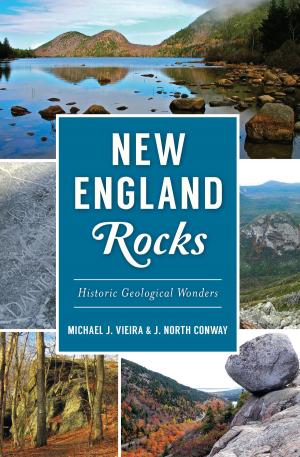 Cover of the book New England Rocks by Harry Kyriakodis, Joel Spivak