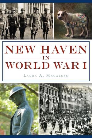 Cover of the book New Haven in World War I by Mark E. Dixon
