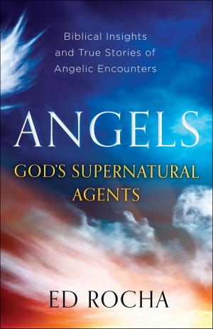 bigCover of the book Angels-God's Supernatural Agents by 