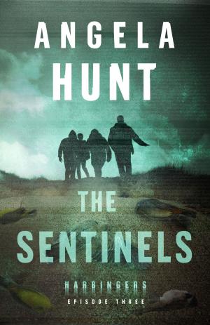 bigCover of the book The Sentinels (Harbingers) by 